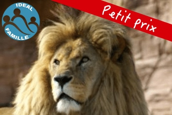 KENYA : TEMBO SAFARI