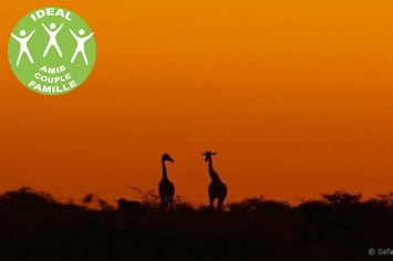 BOTSWANA : SAFARI AUTHENTIQUE