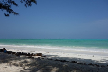 ZANZIBAR : SEYYIDA **** & INDIGO BEACH ****