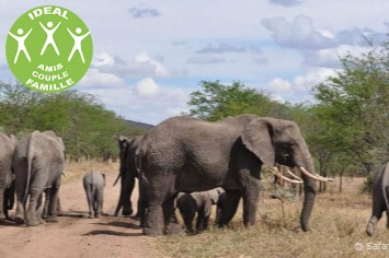 TANZANIE : MAGICAL SAFARI