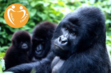 LES MERVEILLES DE L&rsquo;OUGANDA