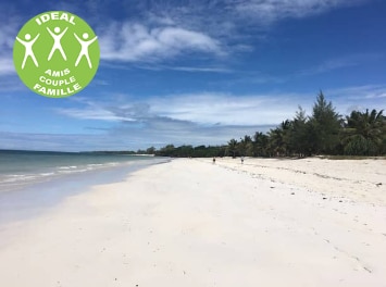 KENYA : CHEETAH SAFARI