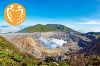 GORILLES DANS LA BRUME