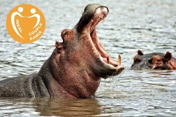 KENYA : KALAO SAFARI