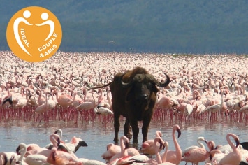 KENYA : SPLENDEURS D&rsquo;AFRIQUE