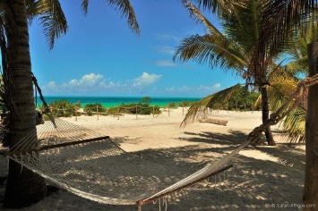 ZANZIBAR : SEYYIDA**** & SHARAZAD ****