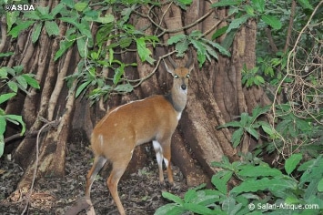 TANZANIE AVENTURE BIVOUAC