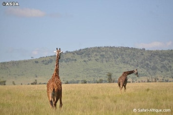 TANZANIE SOUS LES ETOILES