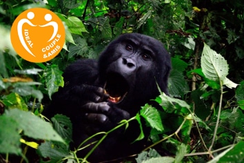 COMBINE KENYA & OUGANDA