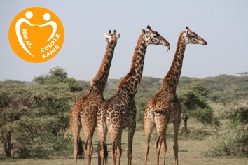 COMBINE OUGANDA & RWANDA