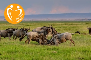 COMBINE KENYA & RWANDA