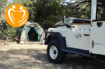 BOTSWANA : CIRCUIT LION SAFARI