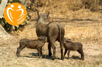 ENTRE PARCS NATIONAUX & CHUTES VICTORIA