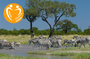 BOTSWANA – FULLY SERVICED SAFARI Southbound