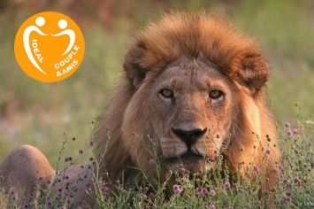 BOTSWANA :CIRCUIT KALAHARI SAFARI