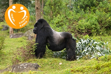 LES MULTIPLES FACETTES DE L’OUGANDA