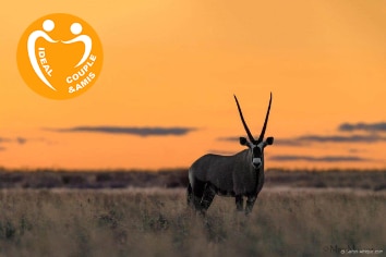 BOTSWANA : CIRCUIT LEOPARD SAFARI