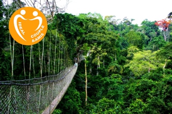 RENCONTRE AVEC LES SINGES & SAFARIS