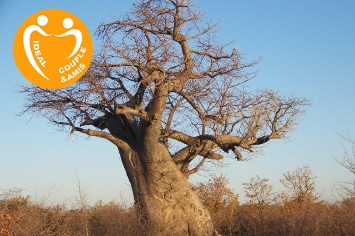 BOTSWANA : CHUTES VICTORIA – CAPRIVI & BOTSWANA