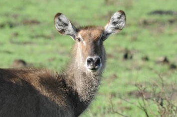 TANZANIE FULL BIVOUAC