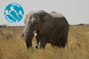 Sous le charme Namibien