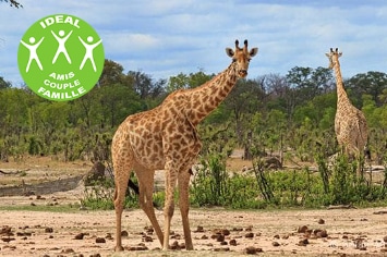 ZIMBABWE: CIRCUIT VERSION AUTHENTIQUE