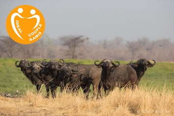 CIRCUIT ZAMBIE FLY PACKAGE “EXPLORER”