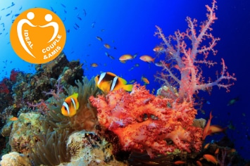 KENYA : SÉJOUR PLONGÉES ET SAFARI