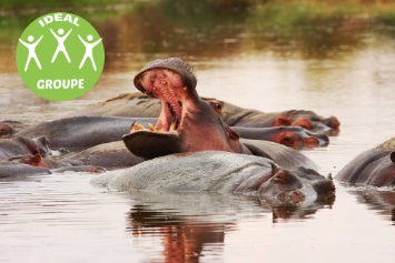 TANZANIE : SIMBA SAFARI GROUPE