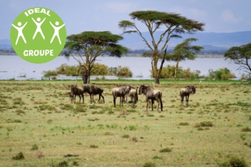 KENYA : AU CŒUR DE LA SAVANE