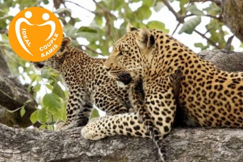 BOTSWANA : EXPLORATION DE L&rsquo;OKAVANGO