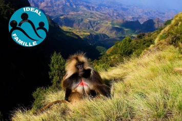 SUR LA ROUTE DE L&rsquo;ABYSSINIE