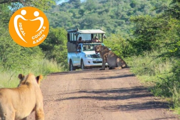 AFRIQUE DU SUD : SAFARI ESSENTIEL