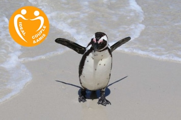 AFRIQUE DU SUD : PRETORIA – JOHANNESBURG – CAPE TOWN