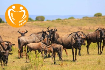 AFRIQUE DU SUD : CAPE TOWN ET SES ENVIRONS