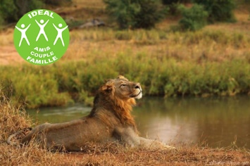 AFRIQUE DU SUD : CAPE TOWN & LE PARC KRUGER